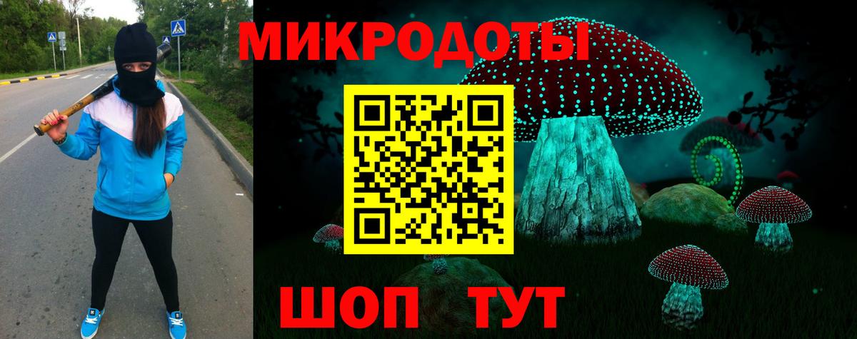 Псилоцибиновые грибы GOLDEN TEACHER  Псилоцибиновые грибы Psilocybine cubensis  Назрань  Вход с VPN 